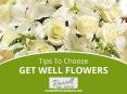Leading St Louis Florist - Russell Florist Inc. PowerPoint PPT Presentation