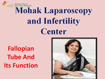 Fallopian Tube And Its Function