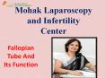 Fallopian Tube And Its Function PowerPoint PPT Presentation