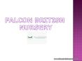 Falcon British Nursery school near me | Preschool abu dhabi PowerPoint PPT Presentation