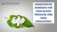 Homeopathic Remedies for High Blood Pressure and High Cholesterol PowerPoint PPT Presentation