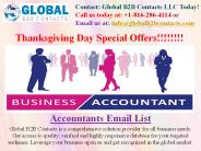 Accountants Email List