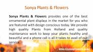 Take Benefits Of Indoor Gardening in Dubai