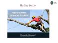 Tree Pruning & Trimming Services in Sydney – The Tree Doctor PowerPoint PPT Presentation