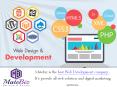 Search For A Great Web Development Company - Matebiz India PowerPoint PPT Presentation