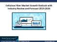 Cellulose Fiber Market Update, Analysis, Forecast, 2019 – 2024 PowerPoint PPT Presentation