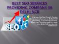 Best SEO services providing company In Delhi NCR PowerPoint PPT Presentation