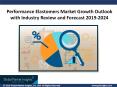 Performance Elastomers Market growth outlook with industry review and forecast 2019-2024 PowerPoint PPT Presentation