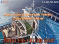 Enjoy Cruise to Korea with Princess Cruise without Hassles PowerPoint PPT Presentation