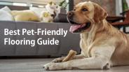 Guide For Best Pet Friendly Flooring