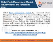 Global Patch Management Market