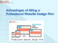 Advantages of Hiring a Professional Website Design Firm PowerPoint PPT Presentation