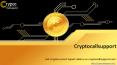 Cryptocurrency-Digital Assets PowerPoint PPT Presentation