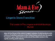 Lingerie Store Franchise Opportunity (1)