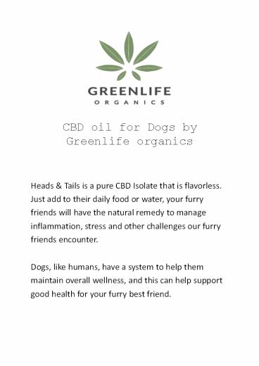 CBD Oil for Dogs
