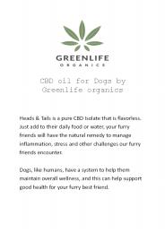 CBD Oil for Dogs