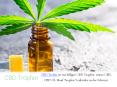 Welches ist die beste CBD Drops Company in Deutschland? PowerPoint PPT Presentation