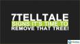 7 Telltale Signs It’s Time To Remove That Tree! PowerPoint PPT Presentation