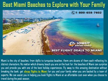 Best Miami Beaches to Explore with Your Family (1)