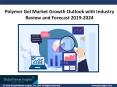 Polymer Gel Market growth outlook with industry review and forecast 2019-2024 PowerPoint PPT Presentation
