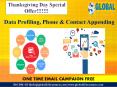 Data Profiling, Phone & Contact Appending PowerPoint PPT Presentation