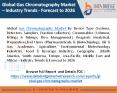 Global Gas Chromatography Market PowerPoint PPT Presentation