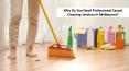 Why Do You Need Professional Carpet Cleaning Services In Melbourne? PowerPoint PPT Presentation