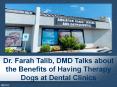 Dr. Farah Talib, DMD Talks about the Benefits of Having Therapy Dogs at Dental Clinics PowerPoint PPT Presentation