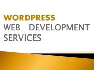 Wordpress Web Designing & Development Company