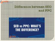 Difference between SEO and PPC