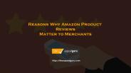Amazon Product Reviews Matter to Merchants