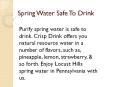 Purified Spring Water is Safe to Drink PowerPoint PPT Presentation