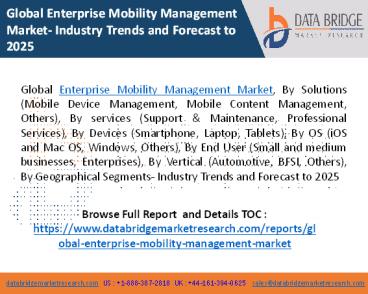 Global Enterprise Mobility Management Market