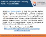 Global Eye Tracking Market