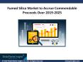 Fumed Silica Market analysis and trends report for 2019 - 2025 PowerPoint PPT Presentation