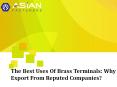 Why use brass terminals? and export from reputed companies. PowerPoint PPT Presentation