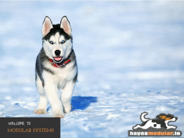 Dog Runs Ireland Dog runs Cork