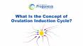 What Is the Concept of Ovulation Induction Cycle? PowerPoint PPT Presentation