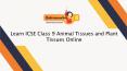 Learn ICSE Class 9 Animal Tissues and Plant Tissues Online PowerPoint PPT Presentation