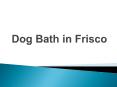 Dog Bath in Frisco PowerPoint PPT Presentation