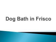 Dog Bath in Frisco
