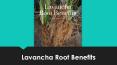 How Lavancha Root Can Be Used As Home Remedies For Wheezing PowerPoint PPT Presentation