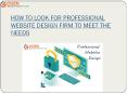 HOW TO LOOK FOR PROFESSIONAL WEBSITE DESIGN FIRM TO MEET THE NEEDS PowerPoint PPT Presentation