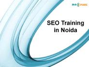 SEO Training in Noida