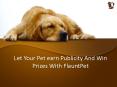 Let Your Pet earn Publicity And Win Prizes With FlauntPet PowerPoint PPT Presentation