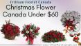 Christmas Flower Under $60 by Best Florist in Toronto PowerPoint PPT Presentation