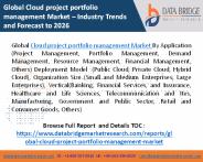 Cloud project portfolio management Market