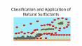 Classification and Application of Natural Surfactants PowerPoint PPT Presentation