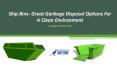 Skip bins- Great Garbage Disposal Options For A Clean Environment PowerPoint PPT Presentation