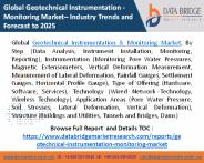Global Geotechnical Instrumentation - Monitoring Market